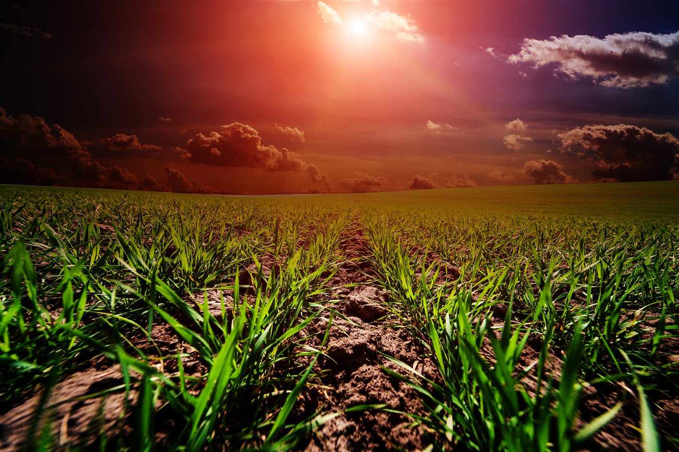 Carbon and ESG readiness