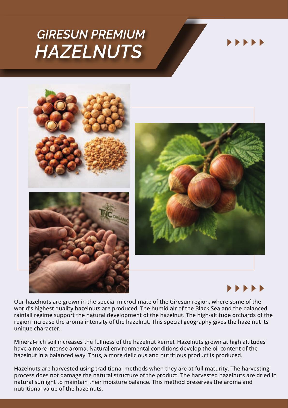 Giresun Premium Hazelnuts